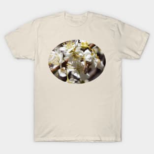 Honey Bee in Plum Tree Blossom T-Shirt